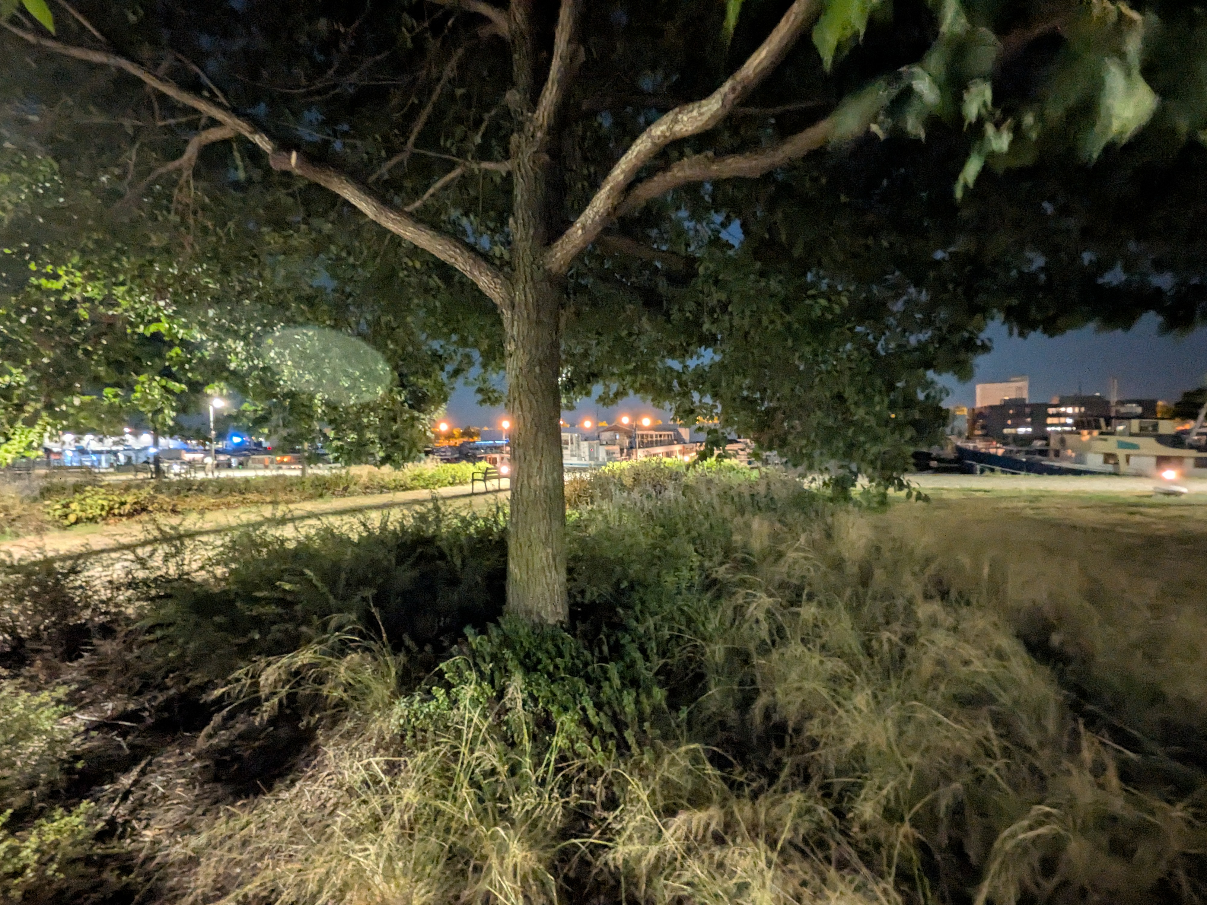 Google Pixel 10 voorbeeldfoto