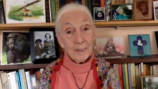 Jane Goodall has been at the forefront of protecting and studying the world's wildlife since the 1960s.