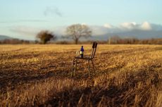Whisky terroir study casts new light on debate