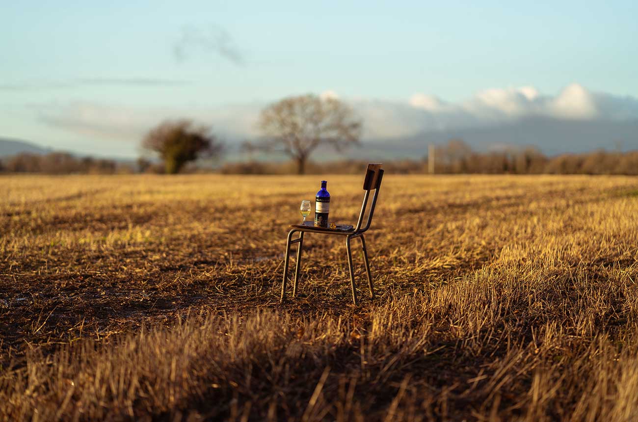 Whisky terroir study casts new light on debate