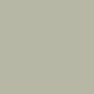 A green-gray color swatch