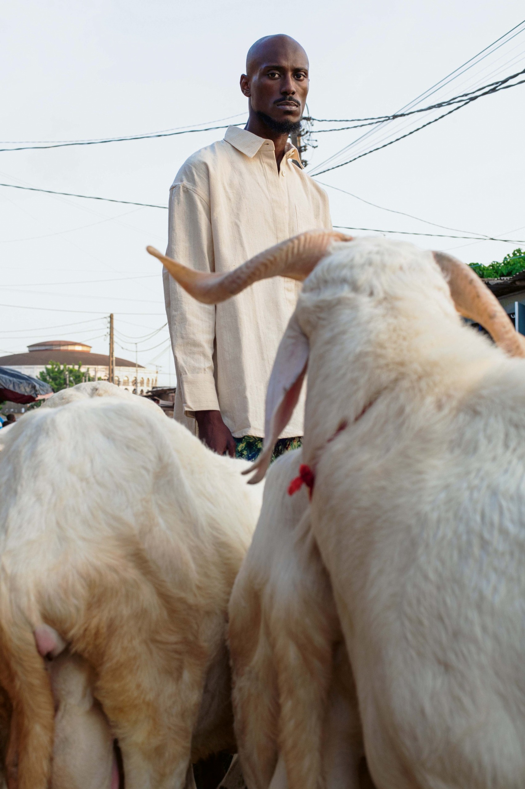 A man in a pale shirt stands amid a herd of goats at a street market, looking directly at the camera through a gap between two animals.