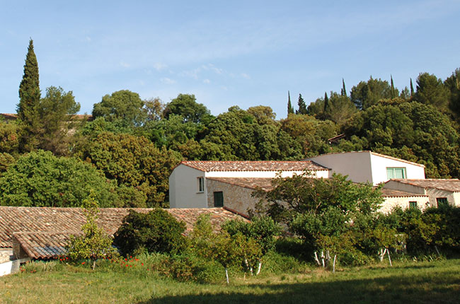 Inside the Mas de Daumas Gassac estate, Languedoc