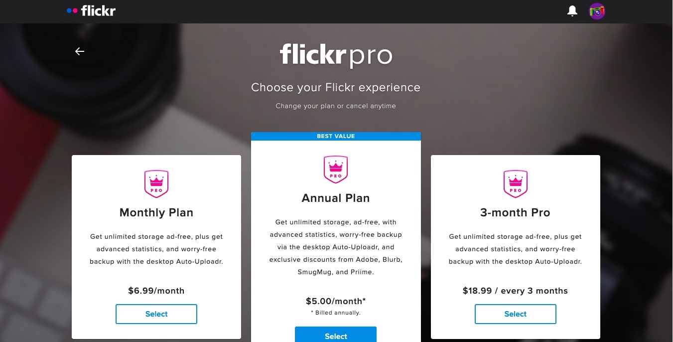 Flickr's pricing plans