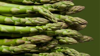 Green asparagus on green background