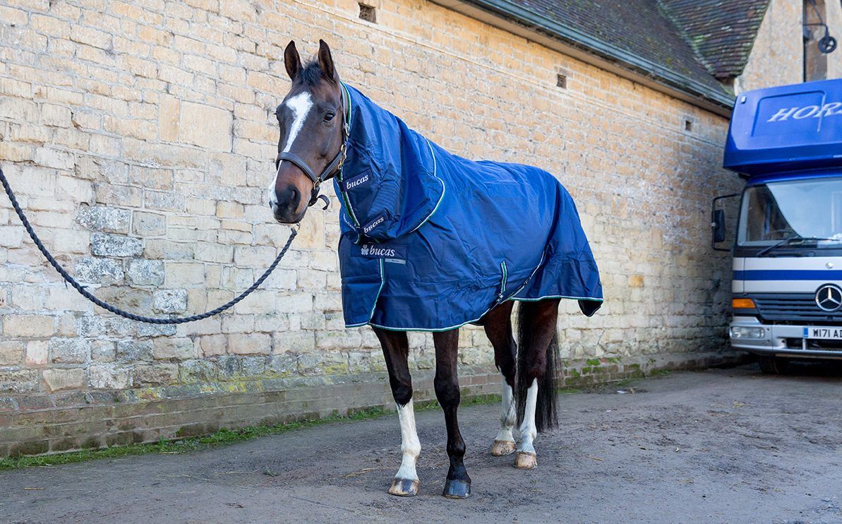 Bucas Smartex medium turnout review
