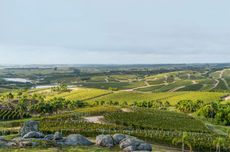 Bodega Garzon, Uruguay wines