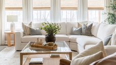 bright living room with sofa in front of window, coffee table and vase with green foliage