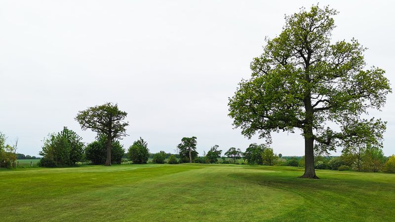 Whittlebury Park golf break review