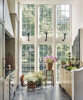 Kitchen layout ideas with galley kitchen and floor-to-ceiling windows