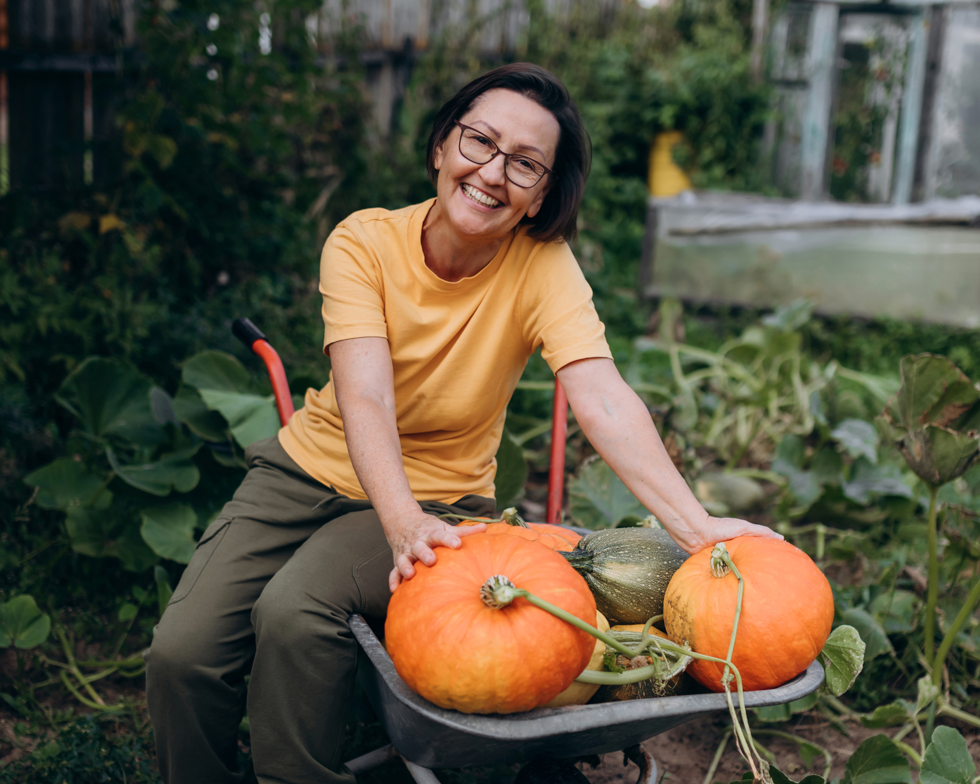 Smiling gardener with pumpkin harvest in wheelbarrow outdoors