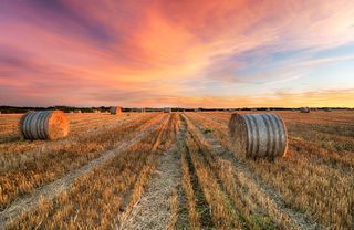 Sunset over hay bales near Crantock in Cornwall.