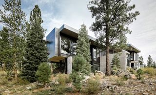 Creek House by Faulkner Architects is on the edge of an evergreen forest