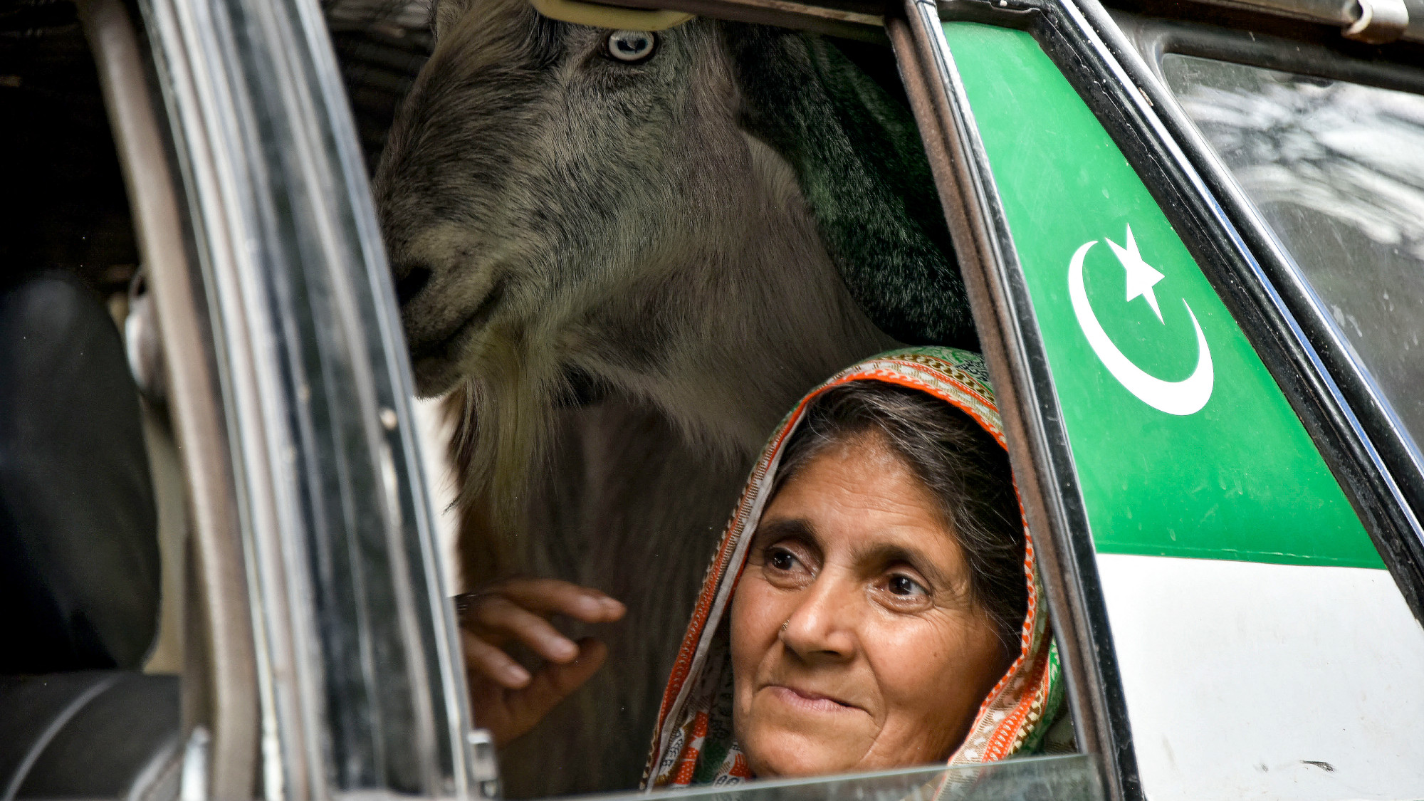 A woman sits next to a goat