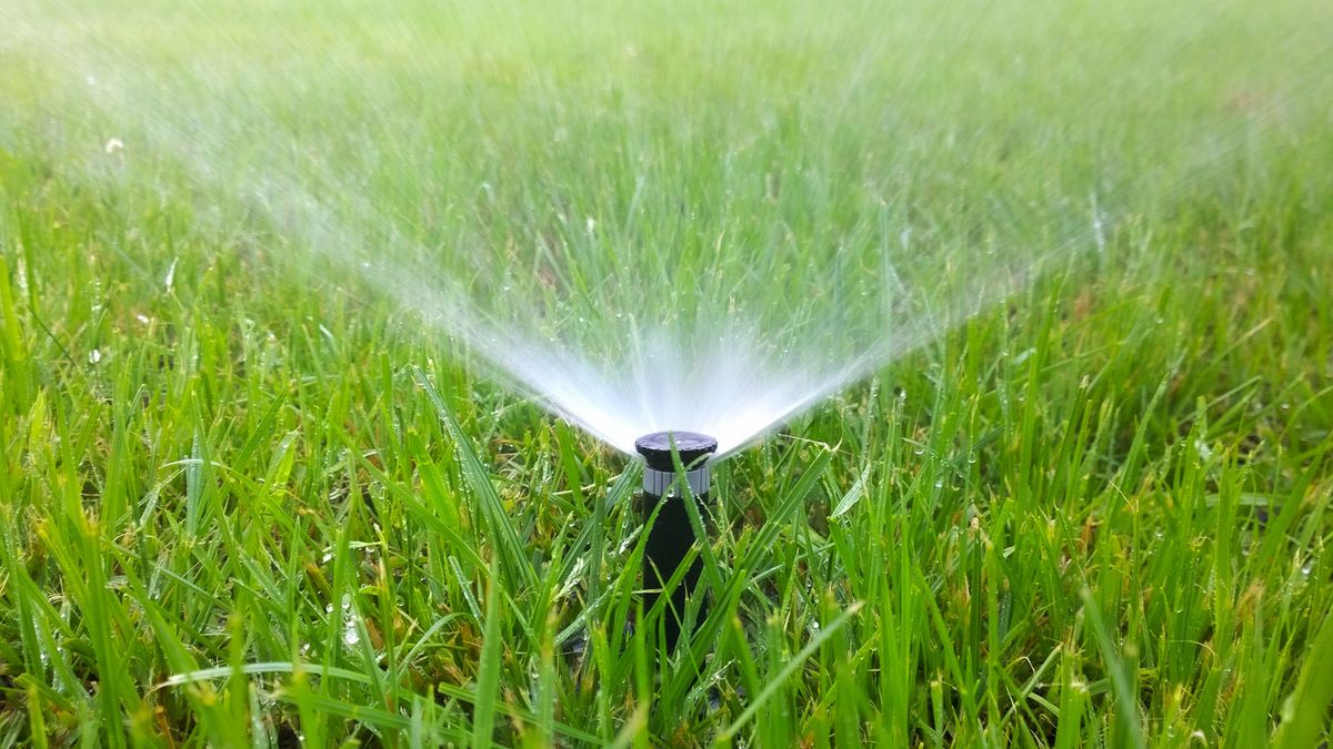 Should you water the lawn after mowing? Experts advise Homes & Gardens