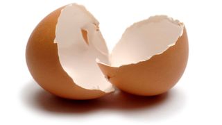 Egg shell