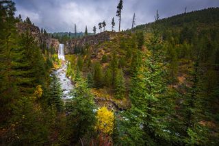 Deschutes National Forest near Bend, Oregon.