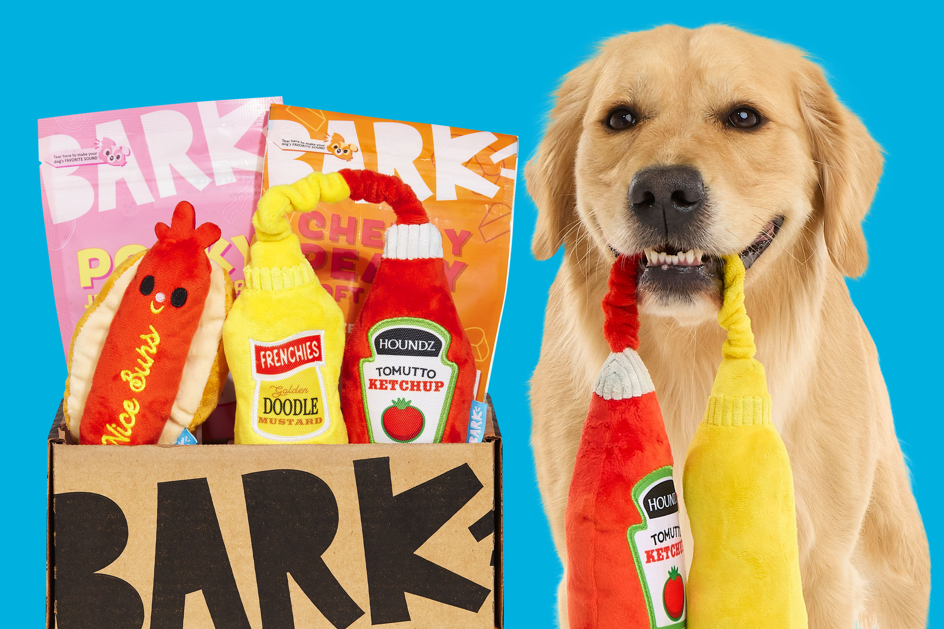 Golden Dog with Barkbox toys