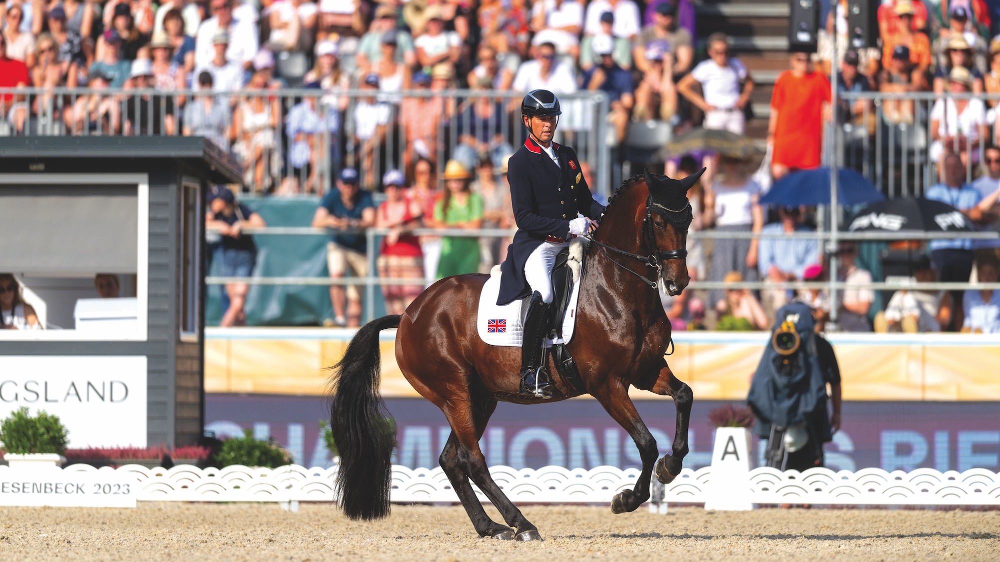 Carl Hester and Fame at the European Championships in Riesenbeck 2023