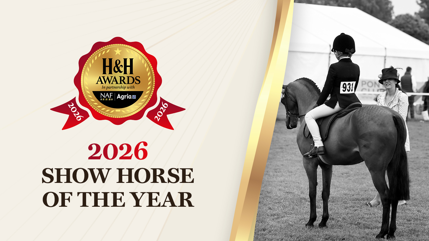 The logo for the 2026 Show Horse of the Year