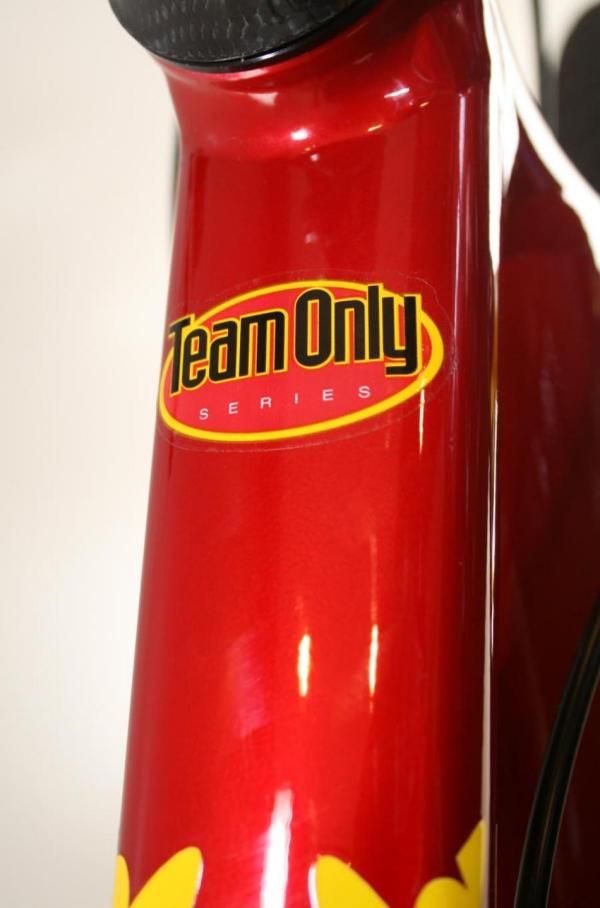 Rocky Mountain Vertex T.O. - Team Only.