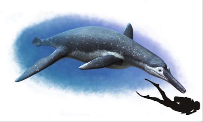 Pliosaur Luskhan itilensis