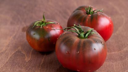 three dark red tomatoes with some dark green colorations 
