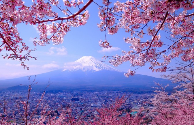 Cherry Blossoms Best Windows 10 Themes