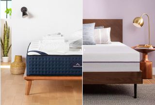 The DreamCloud Hybrid is shown on the left of the image and the Purple Original mattress is show on the right