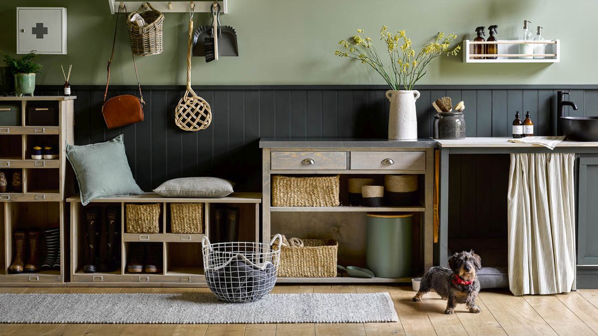 utility room with green walls and freestanding low level open storage units with small dog stood on rug