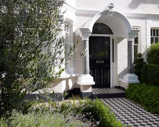 front garden design with olive tree and black and white tiled path