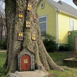 door and window designed on tree stem