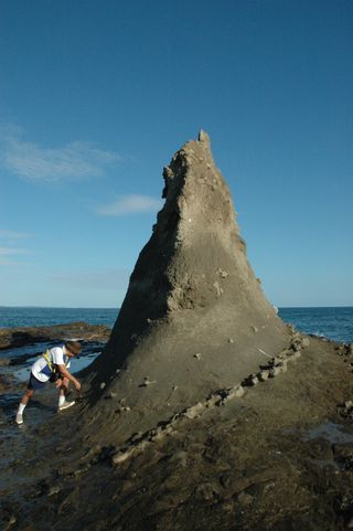 A paleontologist looks for 7-million-year-old fossils on Finger Island, just off Panama's Caribbean coast. Fossils found in this rock look like those on the Pacific side, suggesting that the Isthmus of Panama was not yet formed at this time.