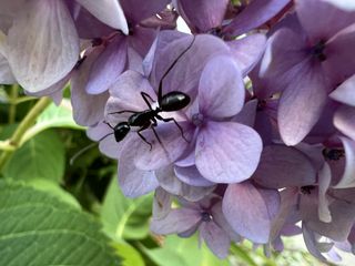 iPhone 13 Pro ultra-wide camera samples