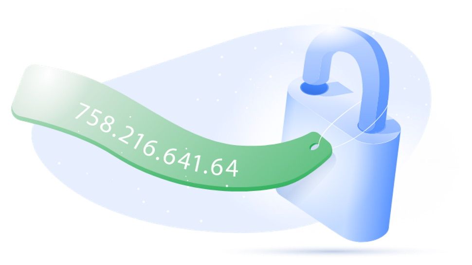 NordVPN graphic representing a dedicated IP address