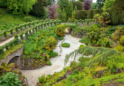 The grotto, or fern dell, with stepping stones in the river of gravel. Next for restoration will be removal of the ivy that blocks from the view from the path. Brodsworth Hall, South Yorkshire. &copy;Clive Nichols.