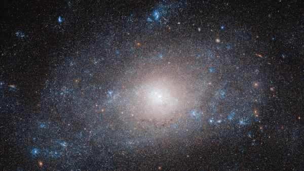 The spiral galaxy NGC 5585, which is nestled on the tail of the Great Bear in the constellation of Ursa Major, is one of many that have revealed the presence of an invisible substance called dark matter. 