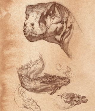 Dragon sketches