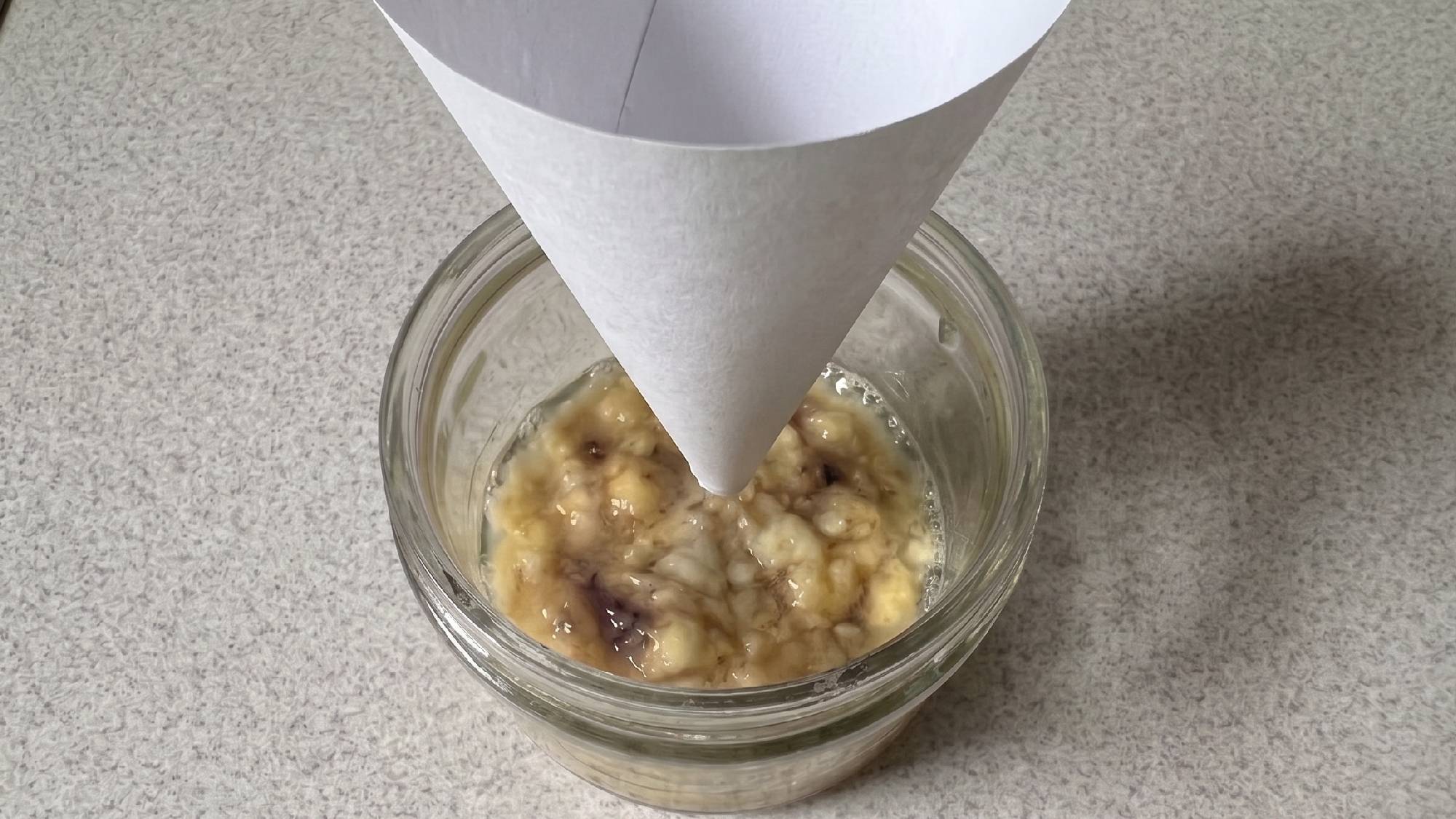 Banana cone fruit fly trap