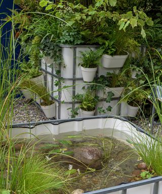 The IBC Pocket Forest. Designed by Sara Edwards. Container Garden. RHS Chelsea Flower Show 2021