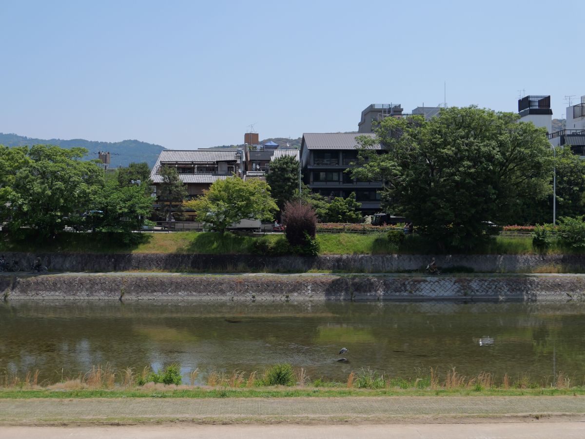 Houses and trees reflected in a calm river.