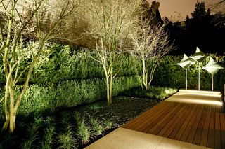 Maximise the impact of mature garden plants by accenting them with spotlighting