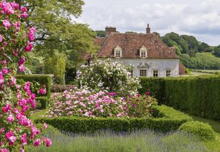 Rose garden ideas - Rose garden of country house