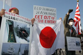 U.N. court orders Japan to halt whaling in the Antarctic