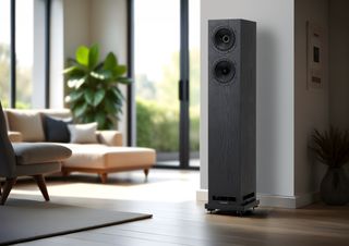 Fyne Audio F55E floorstanding speaker in a black finish in a living room