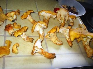 Mushrooms are a yummy addition to meals