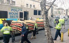 police-horse-milwall2.jpeg