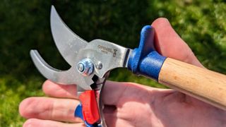 Close up of the Opinel pruning shears.