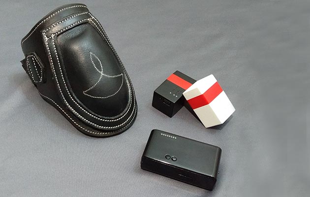 Estride