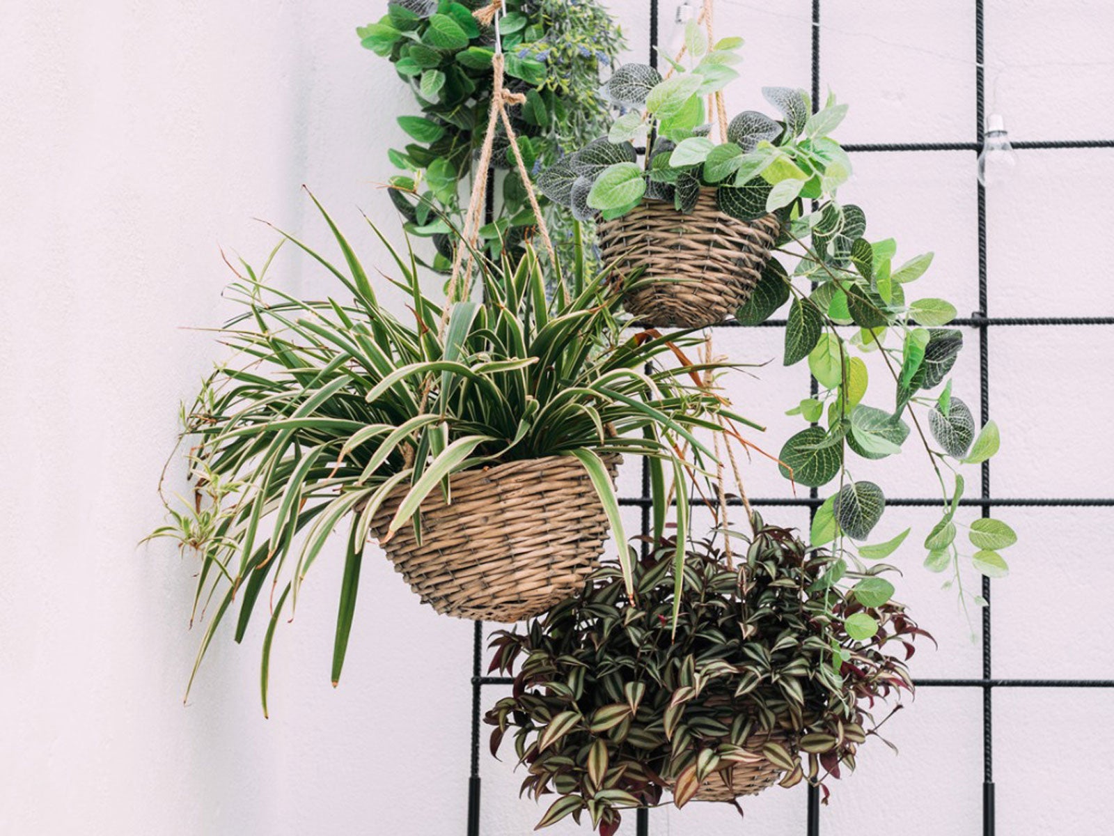 How to Turn a Woven Basket Into a Pretty Planter
